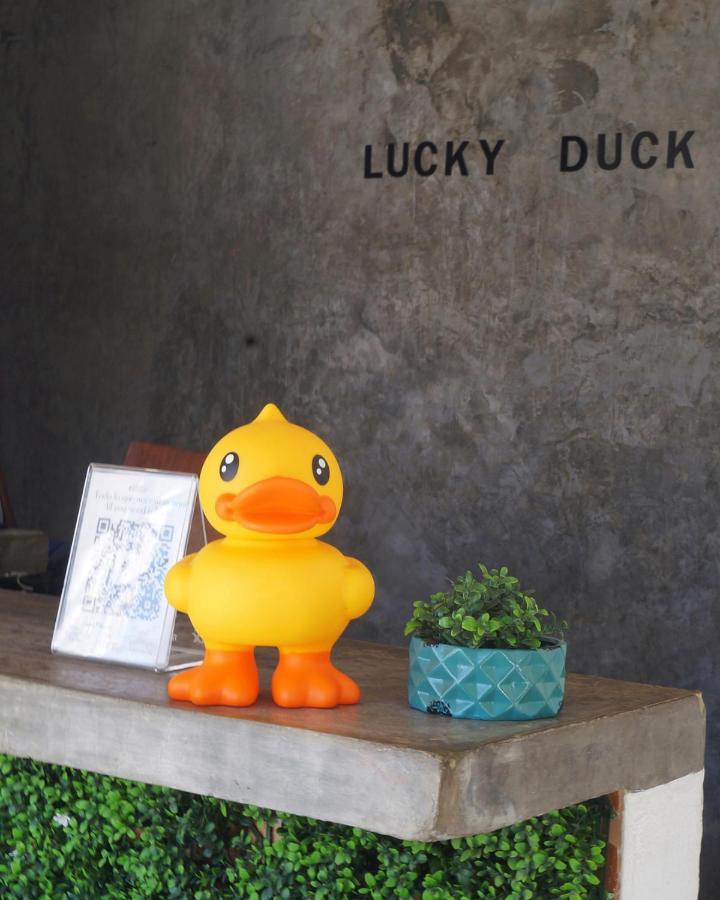 Lucky Duck Pj Hotell Cancún Eksteriør bilde